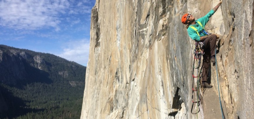 کارگاه تخصصی دیواره نوردی