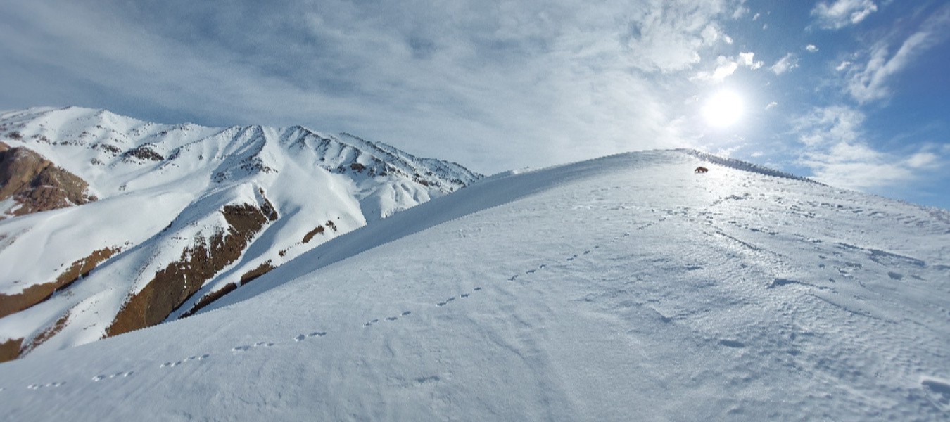 گزارش صعود قله دال نشین